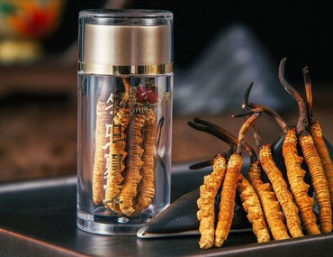 Đông trùng hạ thảo Trung Quốc: Phân loại và tác dụng