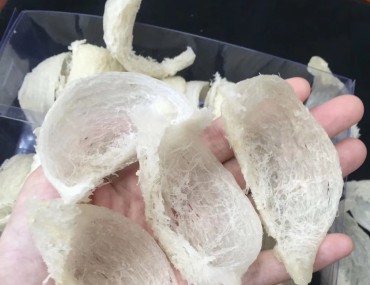 Cách phân biệt tổ yến thật giả đơn giản - chính xác