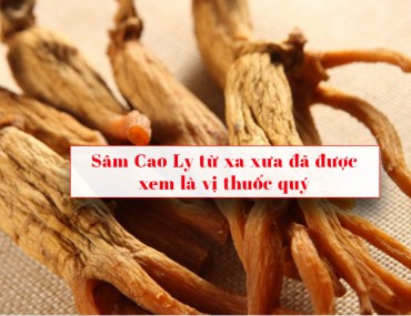 Sâm Cao Ly: Tác Dụng, Cách Dùng Hiệu Quả Nhất