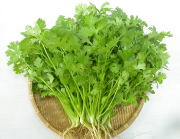 Rau mùi có tác dụng gì? Cách dùng như thế nào?