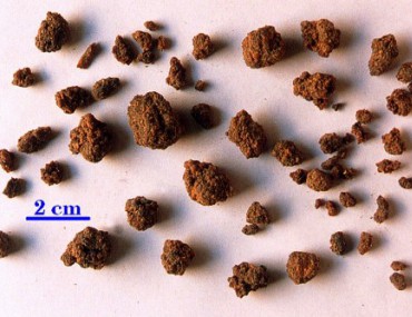 Một dược - Tác dụng chữa bệnh mụn nhọt ngoài da hiệu quả