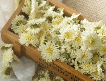 Bạch cúc hoa là gì? Tác dụng - Cách dùng - Giá bán