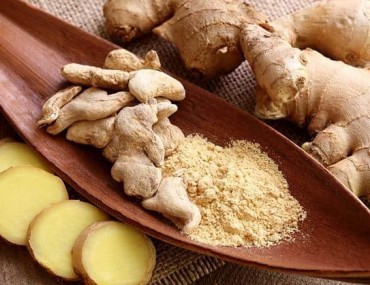 Can khương (Gừng) - Tác dụng chữa bệnh của Can khương