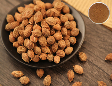 Ích trí nhân bỏ qua nỗi lo tiểu đêm – Liều dùng