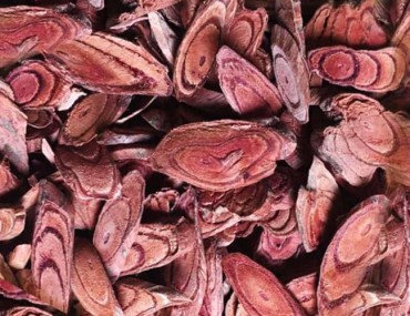 Kê huyết đằng: Hình ảnh, tác dụng, cách dùng, bài thuốc chữa bệnh