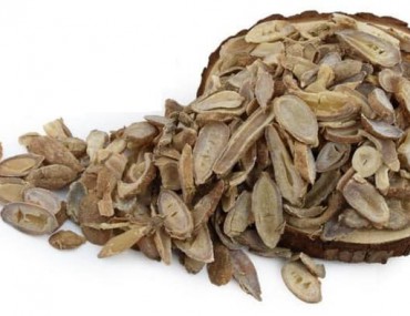 Uất kim dược liệu là gì? Tác dụng của uất kim ra sao?