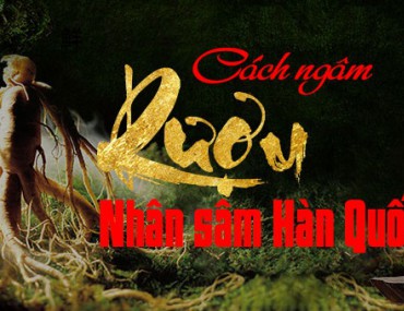 CÁCH NGÂM RƯỢU SÂM HÀN QUỐC MANG ĐẾN TÁC DỤNG TỐT CHO SỨC KHỎE
