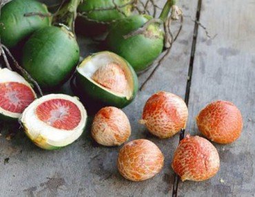 Binh lang là cây gì? Tác dụng của cây binh lang ra sao?