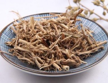 Bạch tiền - dược liệu thanh nhiệt giải độc, công dụng, cách dùng,