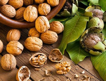 Quả óc chó là gì? Thành phần, tác dụng của quả óc chó