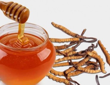 Hướng dẫn cách ngâm đông trùng hạ thảo với mật ong