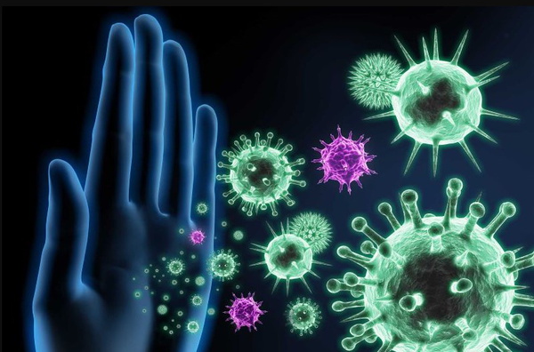 Hệ miễn dịch là gì? Vai trò, tầm quan trọng với cơ thể