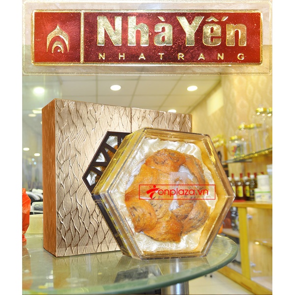 Yến huyết thô thượng hạng-Y072 A1