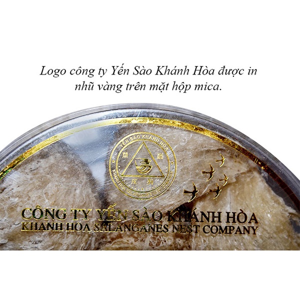 Yến nguyên tổ Khánh Hòa hộp 100g TP2-Y002 A10