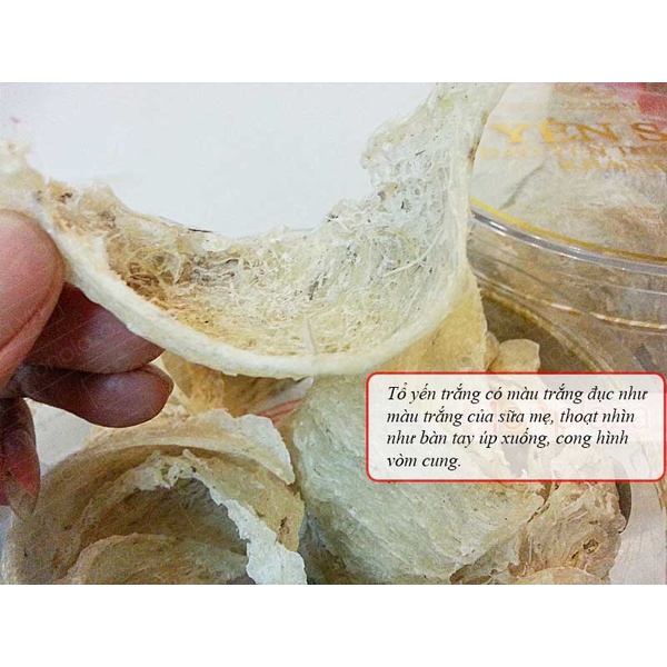 Yến nguyên tổ Khánh Hòa hộp 100g TP4-Y004 A9