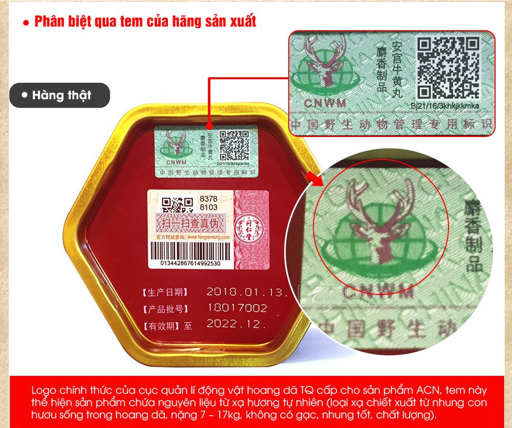 An cung ngưu đồng nhân đường thật giả