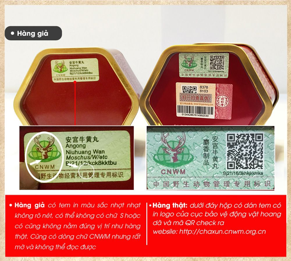 An cung ngưu đồng nhân đường thật giả