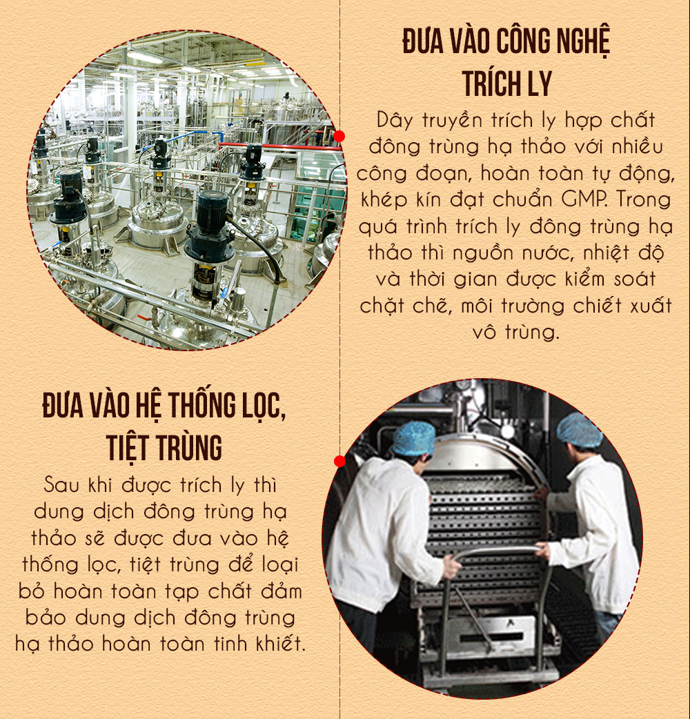 Đông trùng hạ thảo Samsung