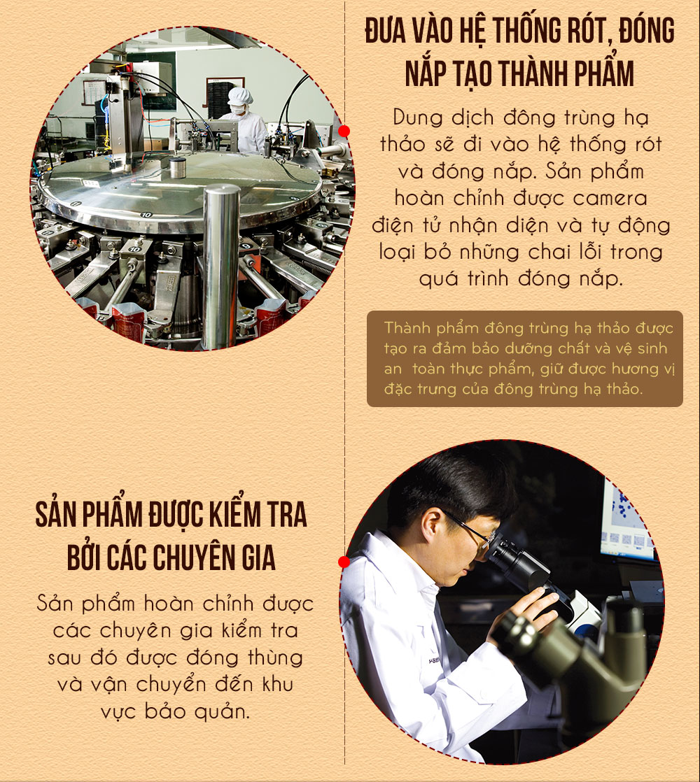 Đông trùng hạ thảo Samsung