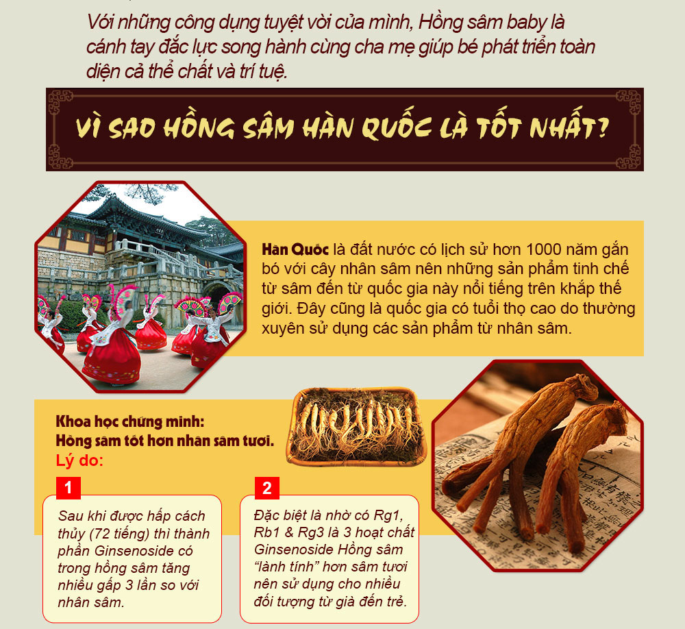 Hồng sâm baby – thương hiệu Korean Red Ginseng Kid Tonic NS121-2