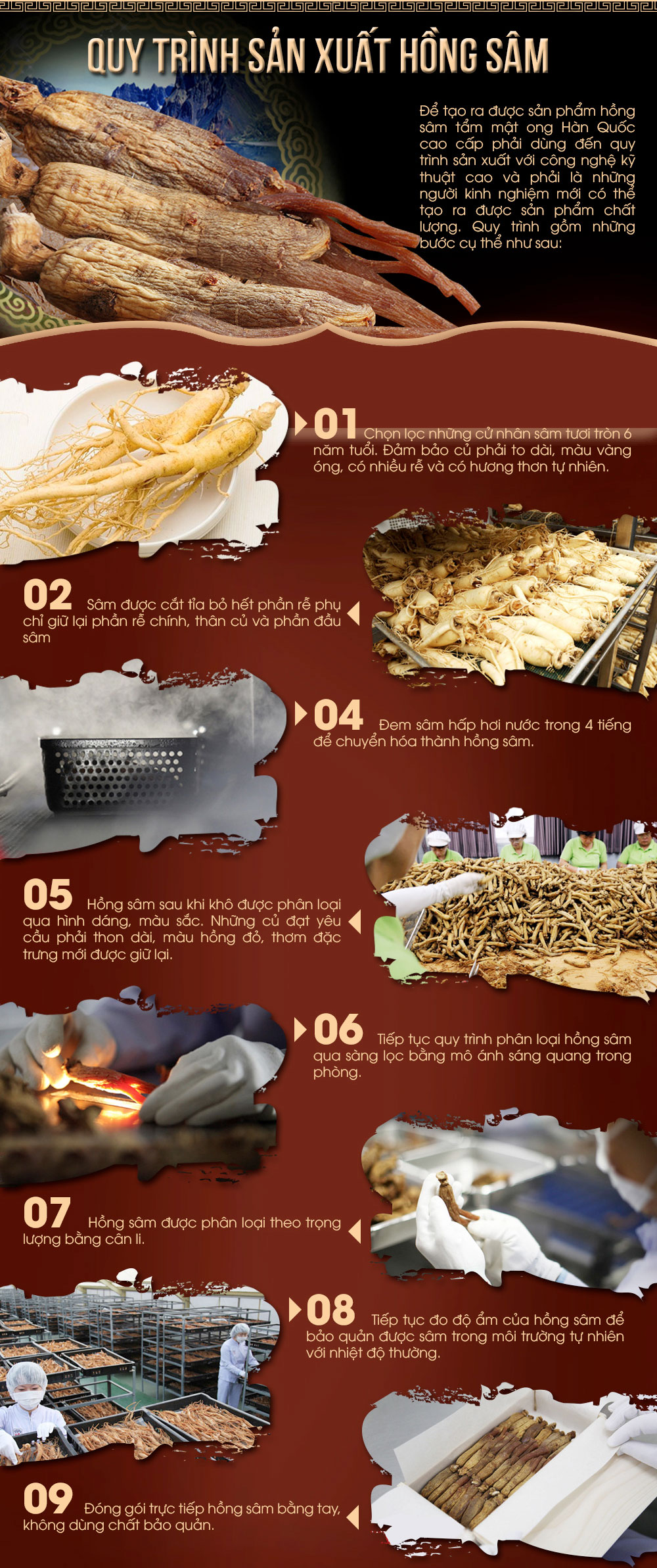 Hồng sâm thái lát tẩm mật ong KGS 100g NS032