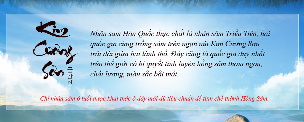 Sâm nguyên củ hộp sắt Daedong loại 300g (hộp số 30) NS081-3