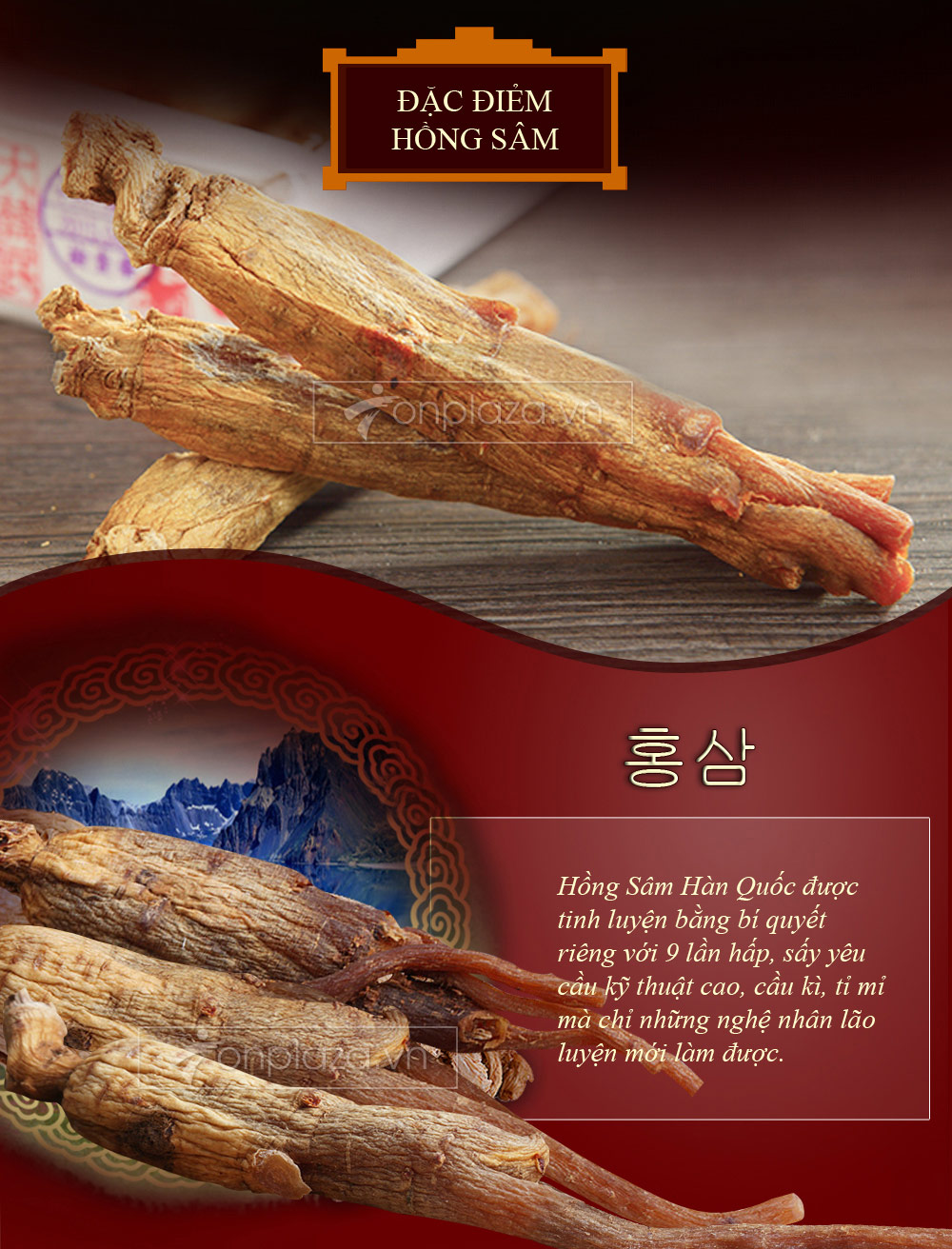 Sâm nguyên củ hộp sắt Daedong loại 300g (hộp số 30) NS081-5