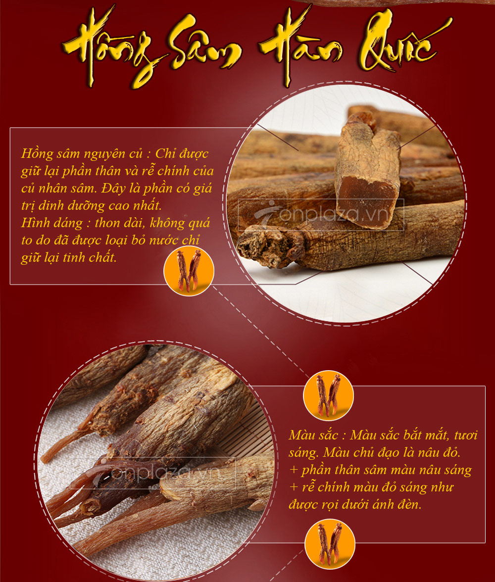 Sâm nguyên củ hộp sắt Daedong loại 300g (hộp số 30) NS081-6