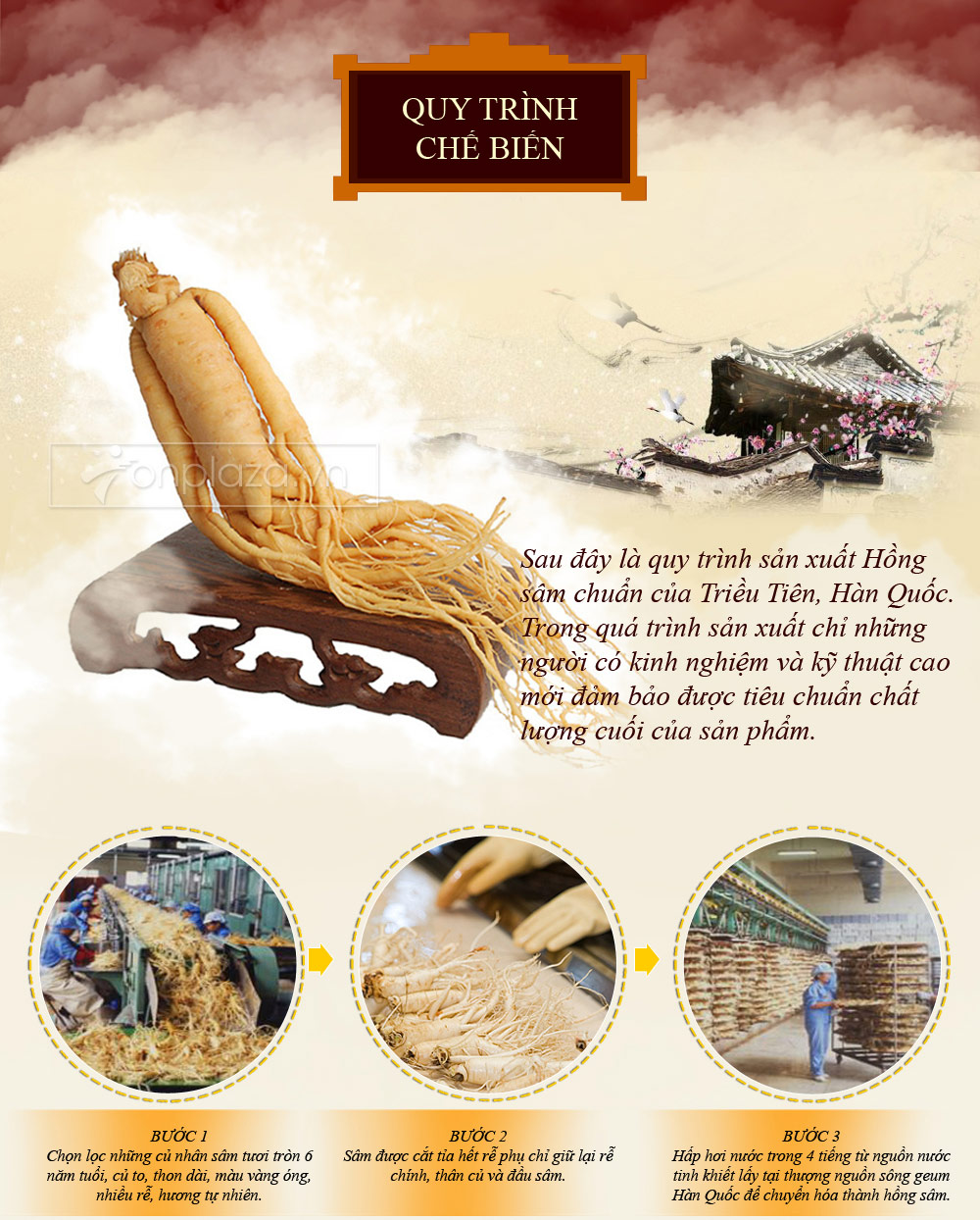 Hồng sâm khô nguyên củ hộp sắt cao cấp 150g (hộp số 15) Daedong NS067-8
