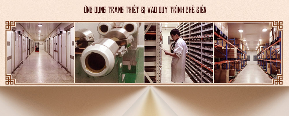 Hộp sâm Cao Ly cao cấp 6 năm tuổi 600g (loại lớn) NS322-11