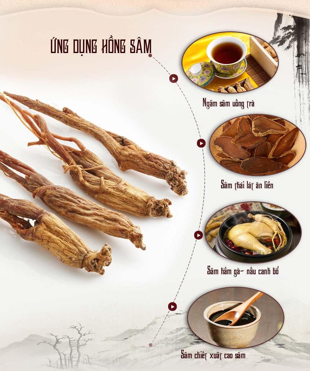Hồng sâm khô nguyên củ hộp sắt cao cấp 150g (hộp số 15) Daedong NS067-13