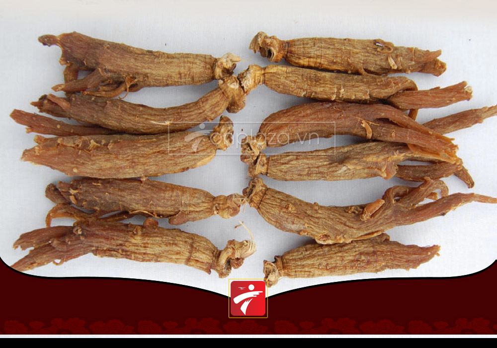 Sâm khô nguyên củ hộp sắt Daedong 300g loại có số (hộp số 40) NS082-14