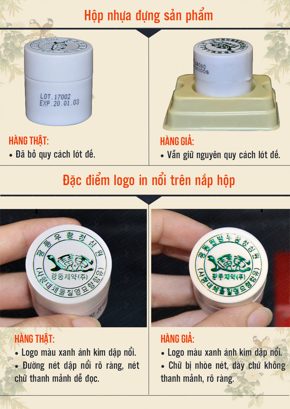 Kiện não hoàn hộp xanh Hàn Quốc