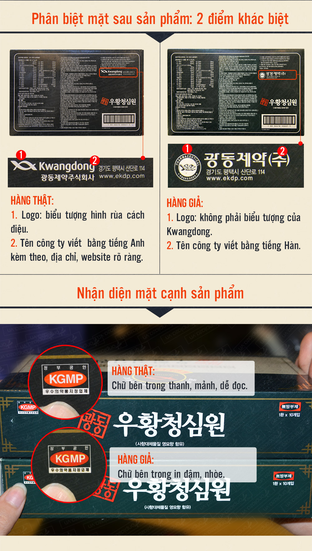 Kiện não hoàn hộp xanh Hàn Quốc
