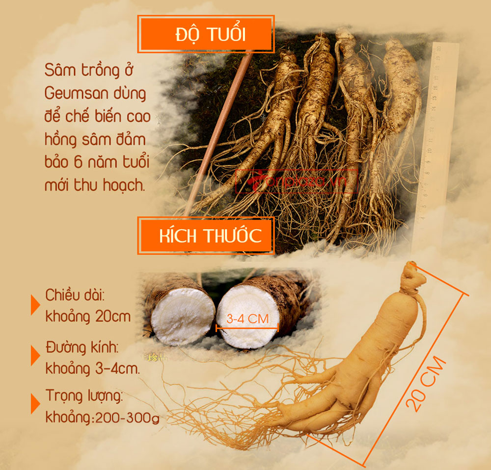 Nước ép hồng sâm Hàn Quốc 6 năm tuổi hộp 30 gói NS046-9