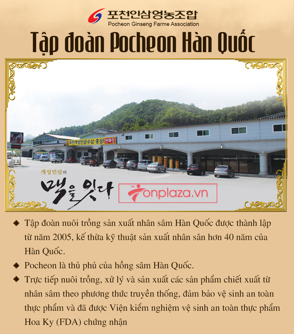 POCHEON nước hồng sâm Cao Ly nguyên chất 80ml30 gói NS223-6
