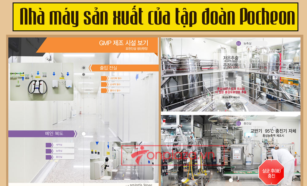 POCHEON nước hồng sâm Cao Ly nguyên chất 80ml30 gói NS223-7