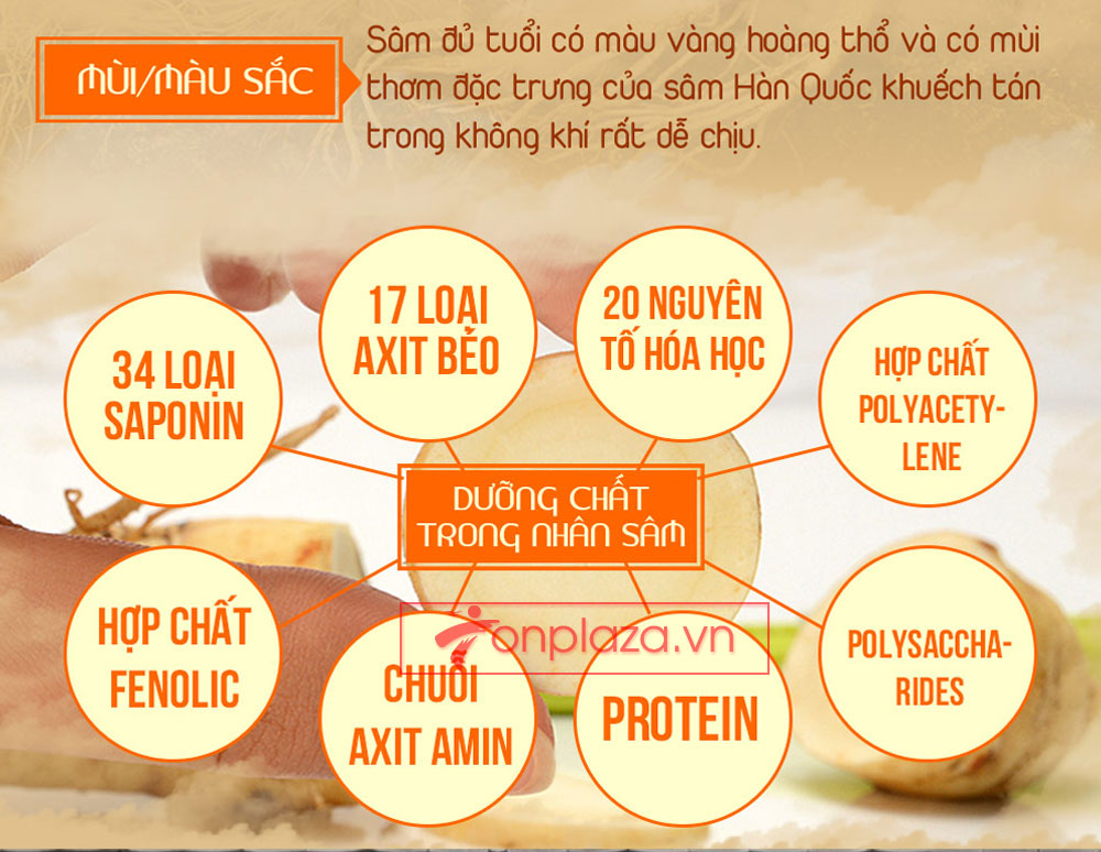 POCHEON nước hồng sâm Cao Ly nguyên chất 80ml30 gói NS223-11