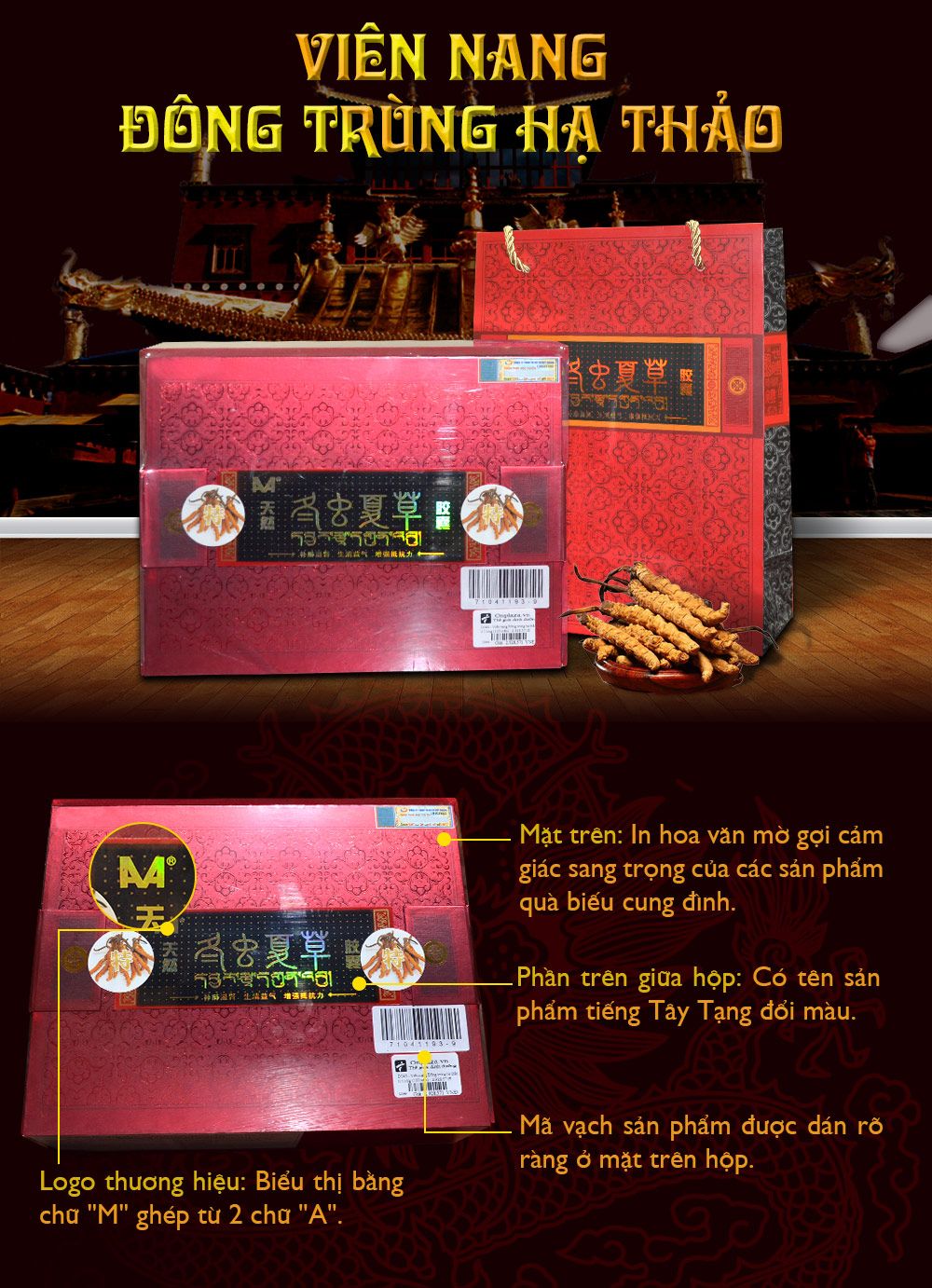 Viên nang đông trùng hạ thảo
