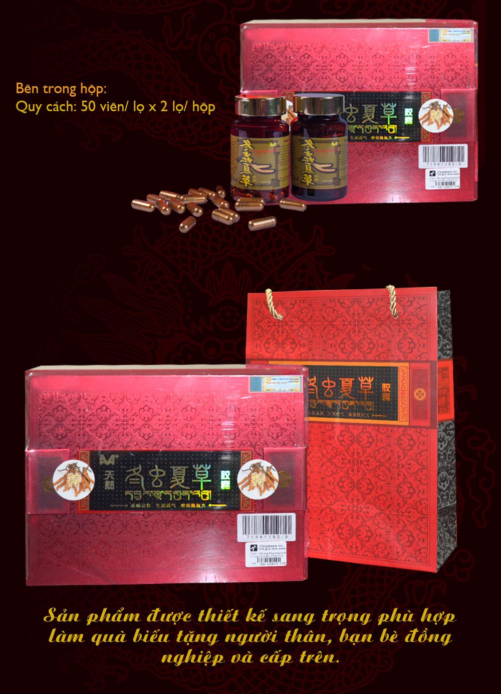Viên nang đông trùng hạ thảo
