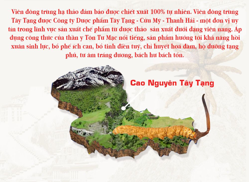 Viên nang đông trùng hạ thảo