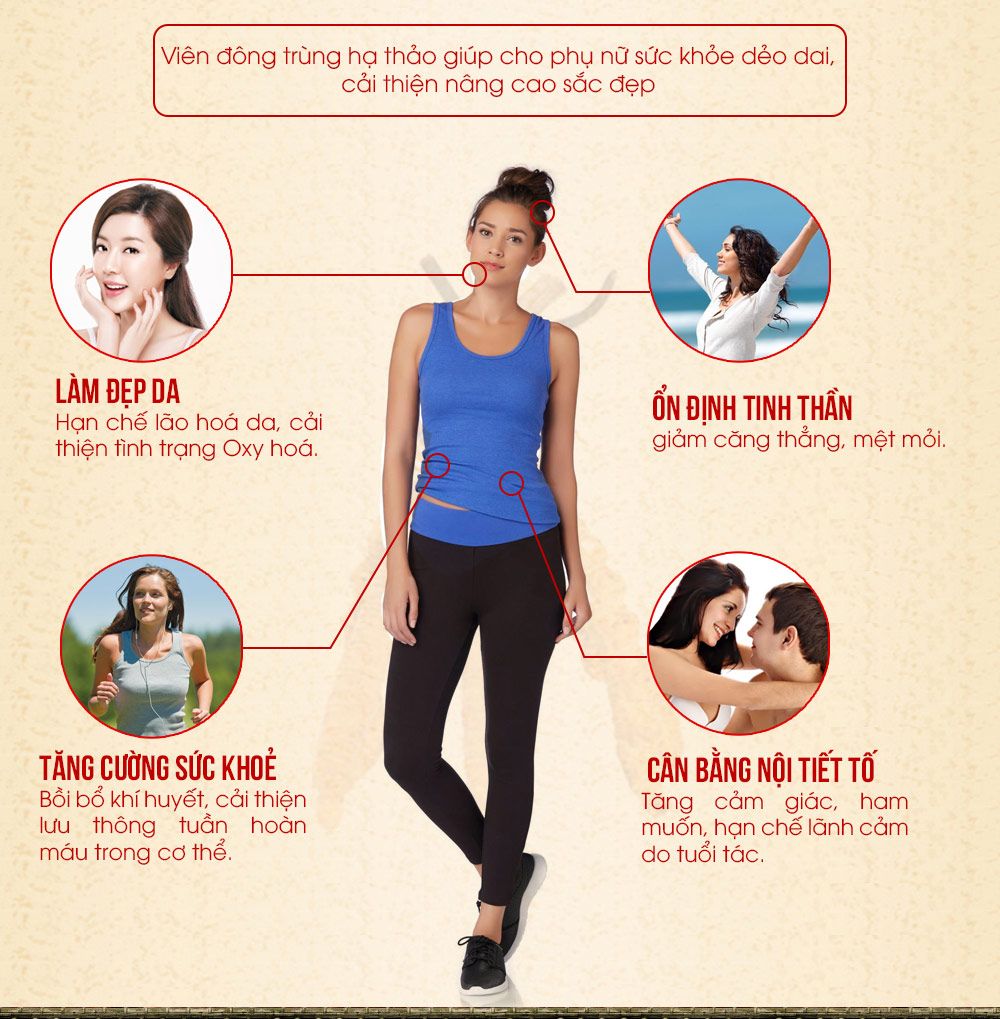 Viên nang đông trùng hạ thảo