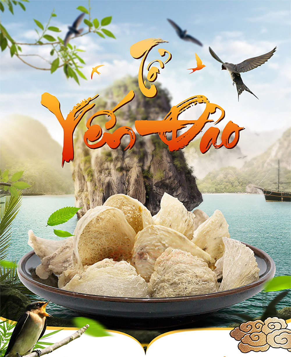 Yến hồng nguyên chiếc Khánh Hòa