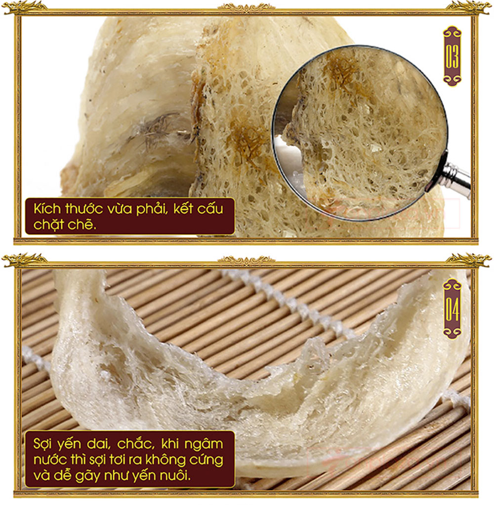 Yến hồng nguyên chiếc Khánh Hòa