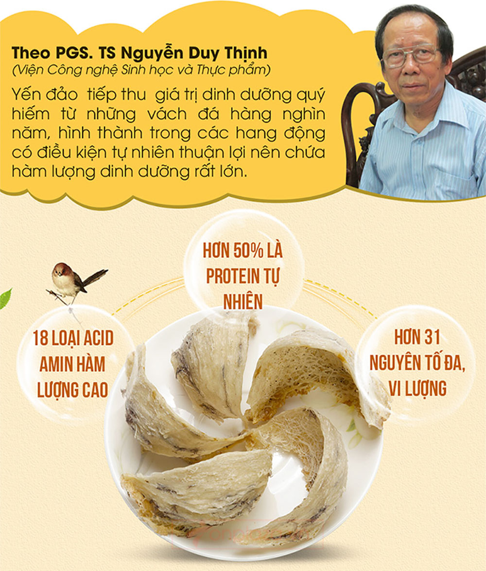Yến hồng nguyên chiếc Khánh Hòa