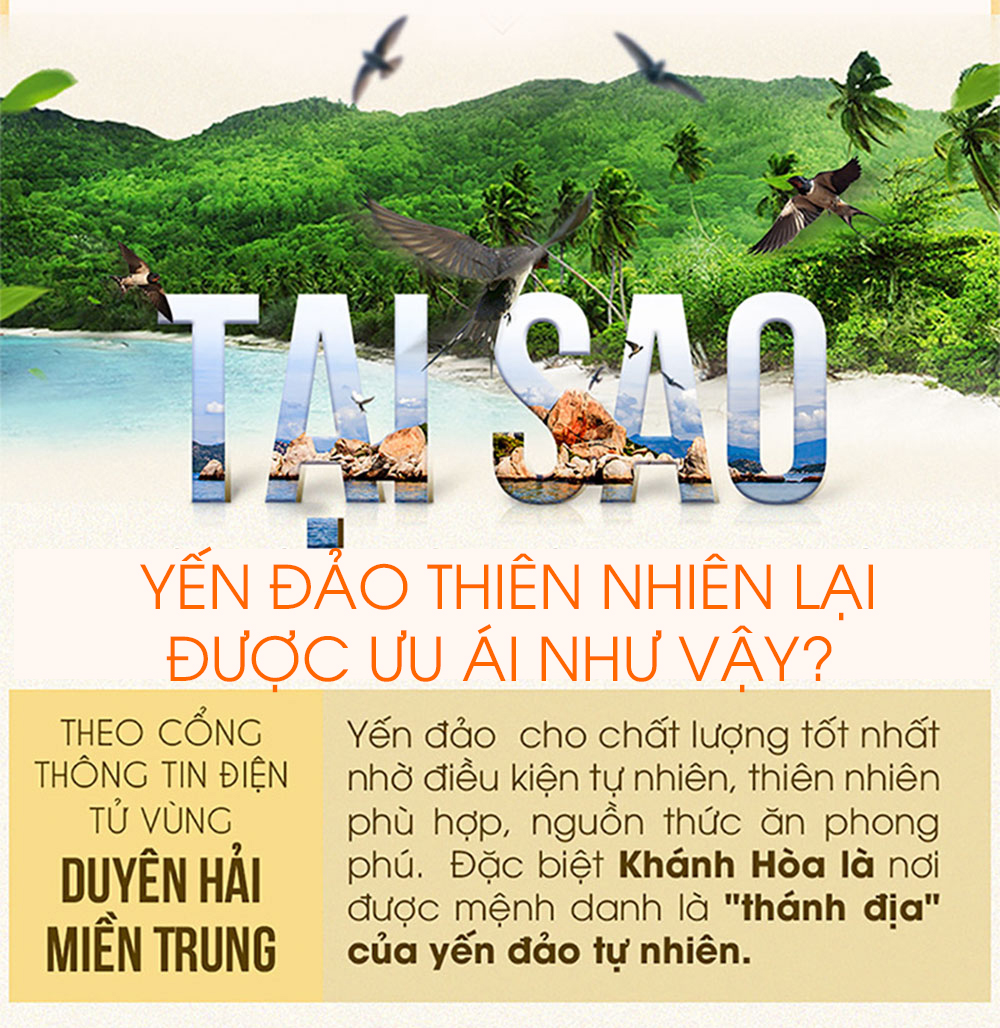 Yến hồng nguyên chiếc Khánh Hòa