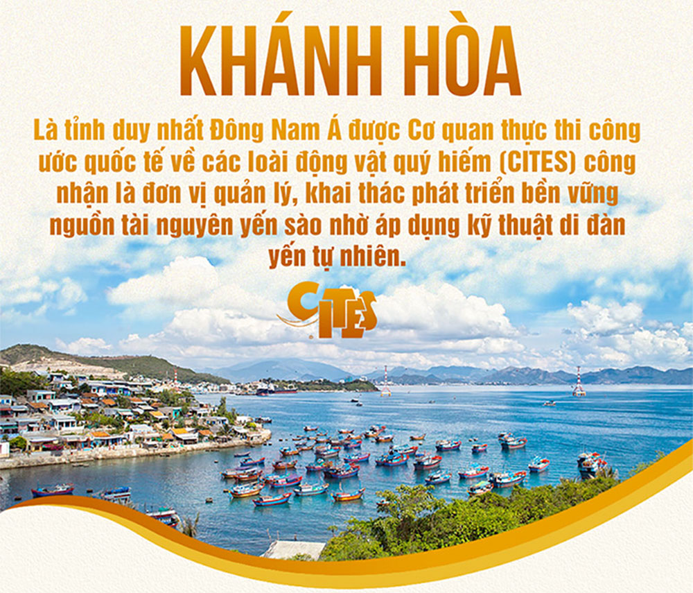 Yến hồng nguyên chiếc Khánh Hòa