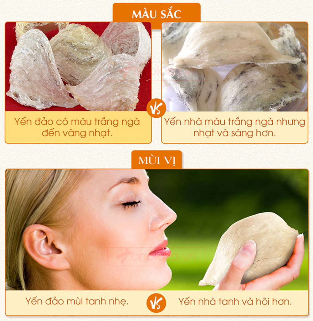 Yến hồng nguyên chiếc Khánh Hòa