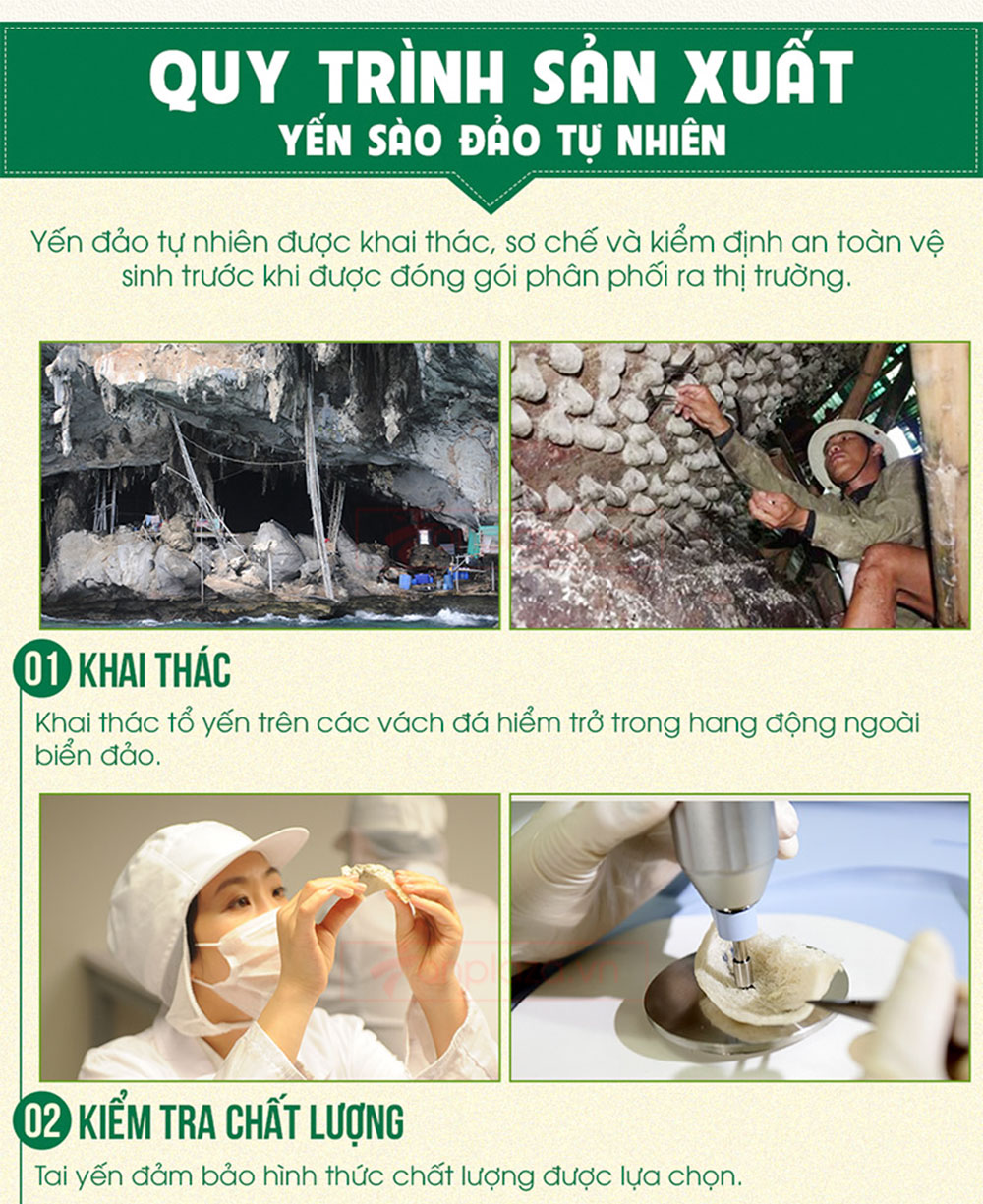 Yến hồng nguyên chiếc Khánh Hòa