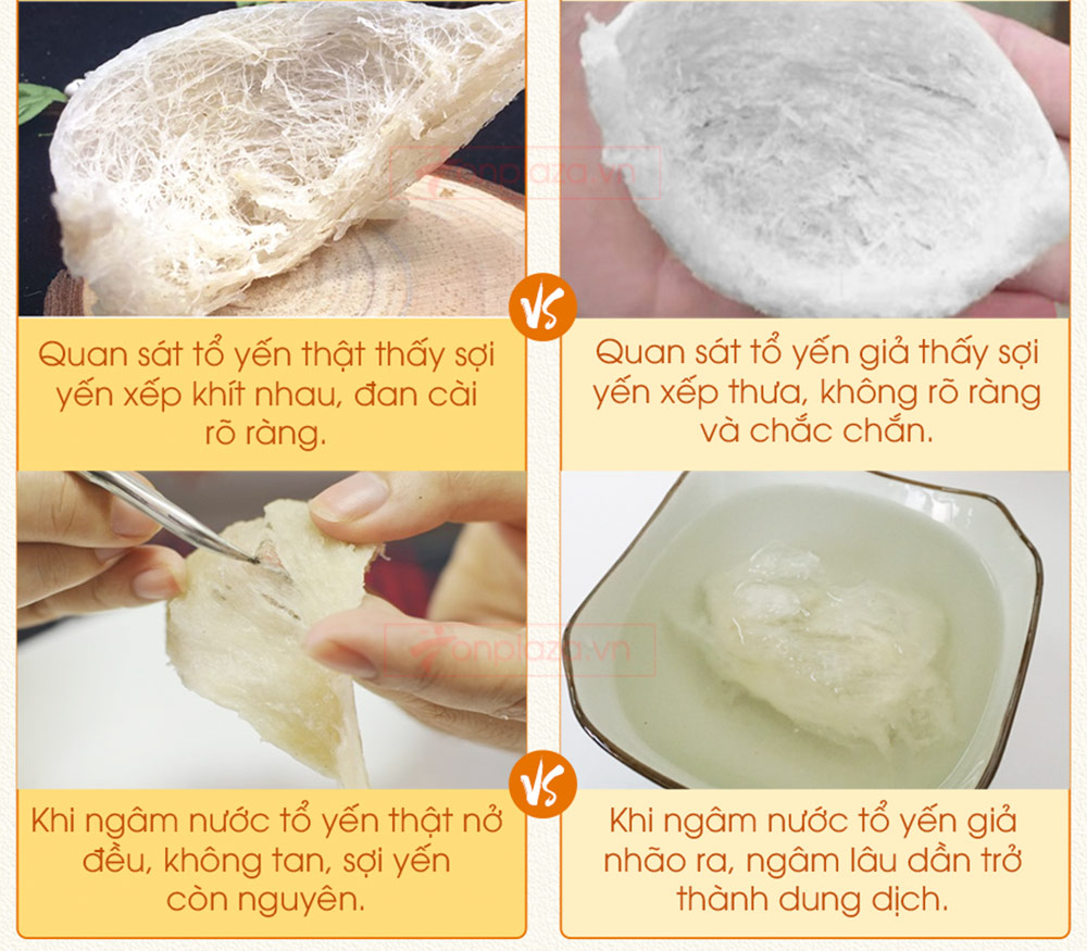 Tổ yến hồng sơ chế thượng hạng